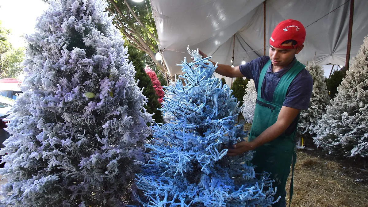 Poblanos comienzan con las compras decembrinas9